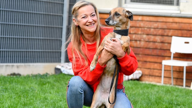 Tierheim-Chefin Renate Bauer mit dem geretteten Hund „Pudding“ (Bild: Harald Dostal)