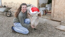Claudia Herka mit Schweinderl Sissi auf dem Gnadenhof (Bild: Michael Fraller)