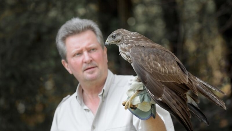 (Bild: Wallner Hannes/Kronenzeitung)