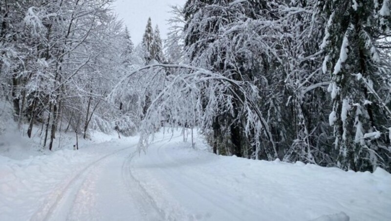 In Kötschach herrscht tiefster Winter. (Bild: Hannes Wallner)