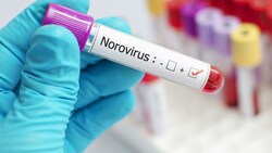 Die Norovirus-Infektion in der Volksschule Parsch in Salzburg hat sich seit Donnerstag ausgeweitet, (Bild: stock.adobe.com)