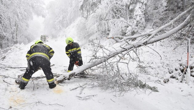 Es kommt auch weiterhin zu Schneebrüchen. (Bild: zVg)