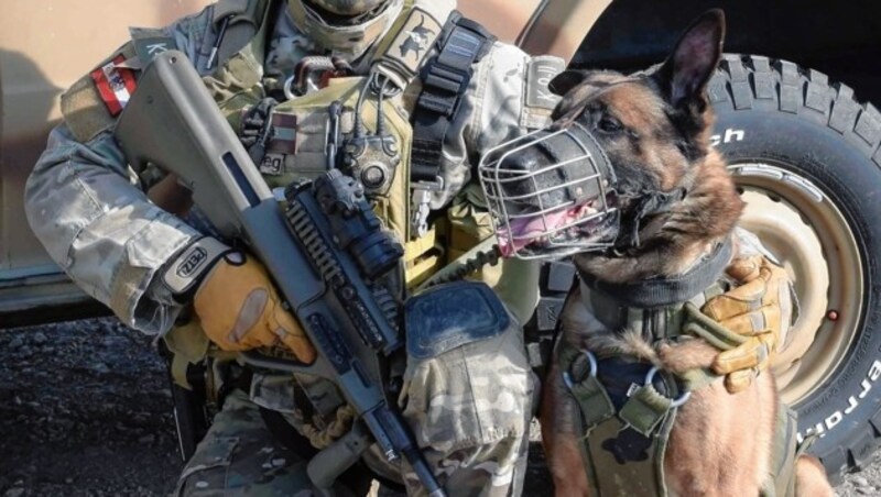 Ein Belgischer Schäferhund des Jagdkommandos (Bild: Bundesheer/Pusch)