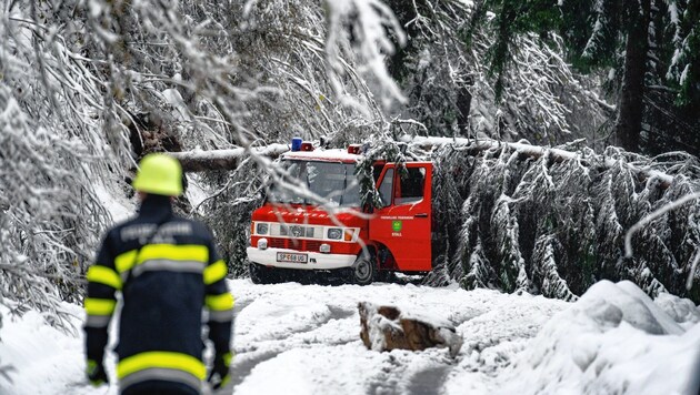 Im Mölltal stürzte ein Baum auf das Fahrzeug der FF Stall. (Bild: Peter Maier)