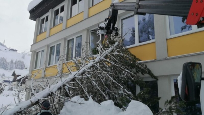 Ein Baum traf diese Schule in St. Jakob im Defereggen (Bild: Brunner Images | Philipp Brunner)