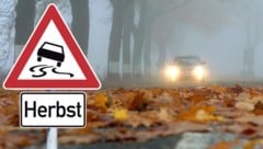 Alleen sind nicht nur für Autofahrer, sondern auch für Radfahrer im Herbst gefährlich. Mit Wasser vermischtes Laub macht die Straße häufig zur Rutschpartie. (Bild: Patrick Pleul, stockadobe)