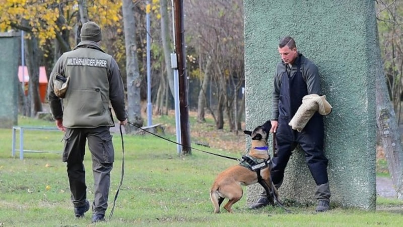 Training auf höchstem Niveau: Ein Militärhund stellt mit seinem Führer einen „Eindringling“. (Bild: Huber Patrick)