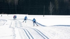 So wie hier tummeln sich derzeit zahlreiche Wintersportler auf den Loipen in Seefeld (Symbolbild).  (Bild: zvg)