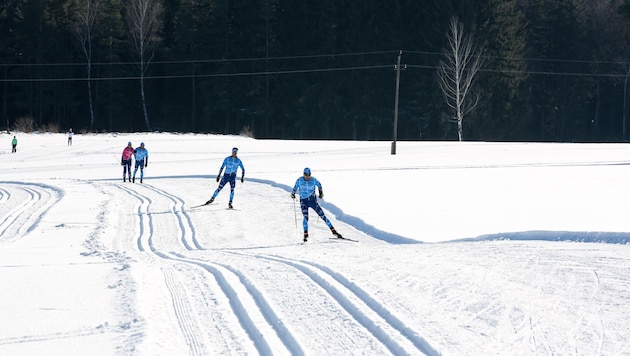 Like here, numerous winter sports enthusiasts are currently enjoying the cross-country ski trails in Seefeld (symbolic image). (Bild: zvg)