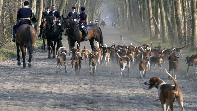 Mitglieder der Vereinigung Societe de Venerie (Symbolbild) (Bild: AFP)