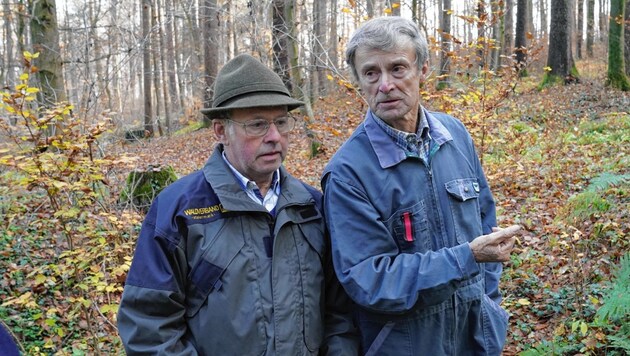 Leisten seit Jahren Pionierarbeit im Wald: die Brüder Johann und Karl Schadler aus St. Marein (Bild: Sepp Pail)