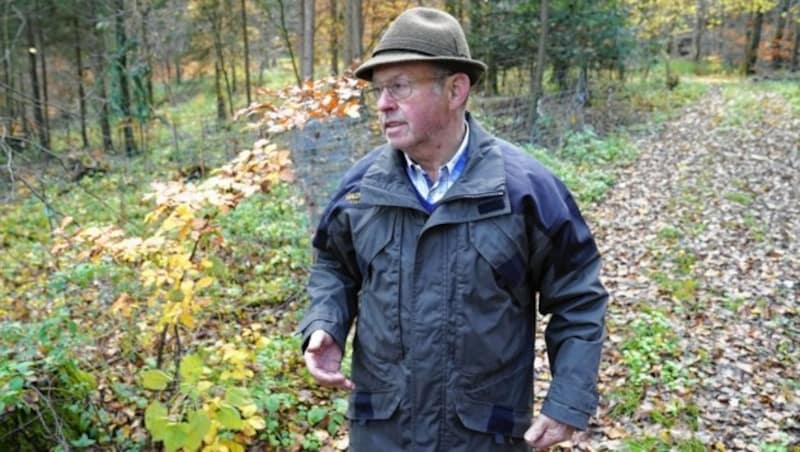 „Der Wald braucht uns nicht, aber wir ihn“, lehrt Hans die Erfahrung. (Bild: Sepp Pail)