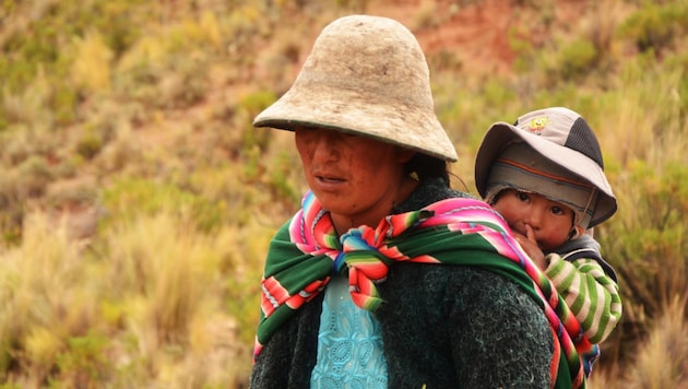 In Bolivien bilden Lamas für viele Indigene die Lebensgrundlage. (Bild: Bruder und Schwester in Not)