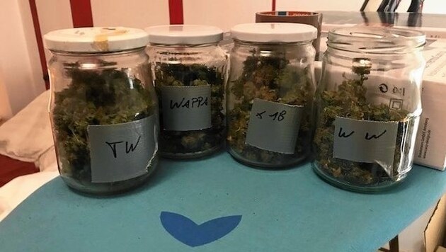 Die „Ausbeute“ nach dem Großeinsatz: vier Gläser mit Marihuana (Bild: LPD Wien)