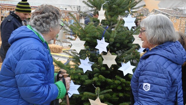 Wünsche in Sternform: In Gleisdorf lassen sie sich vom Baum pflücken. Das soll die Menschen verbinden. (Bild: Chance B)