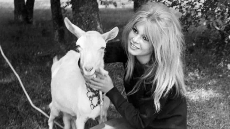 Brigitte Bardot (Bild: AFP)