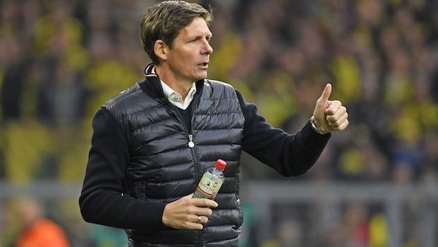 Wolfsburg-Trainer Oliver Glasner (Bild: AFP)
