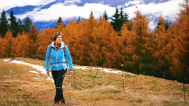 Der Bergwald entlang des Aufstiegs präsentierte sich uns in den schönsten Herbstfarben. Hanni Gratzer ist gerne mit Gästen unterwegs. (Bild: Wallner Hannes)