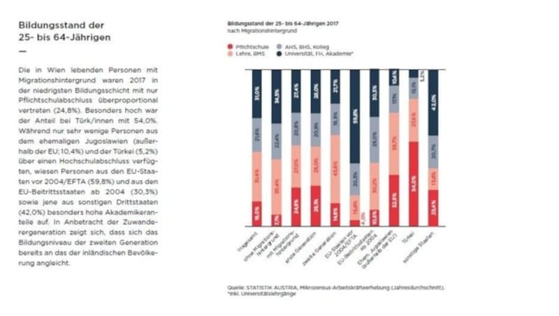 Bildungsstand der 25- bis 64-Jährigen 2017 nach Migrationshintergrund (Bild: ÖIF)