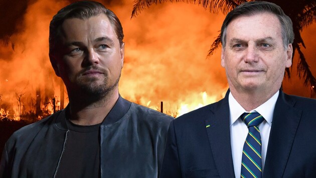 Leonardo DiCaprio, Jair Bolsonaro (Bild: AP, AFP, krone.at-Grafik)