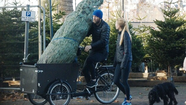 James Middleton und seine Verlobte Alizee Thevenet machen sich mit ihrem Weihnachtsbaum auf den Heimweg. (Bild: www.PPS.at)