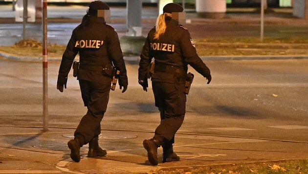 Auch mehrere Polizeistreifen beteiligten sich am Sucheinsatz (Symbolbild). (Bild: APA/Herbert Neubauer (Archivbild))