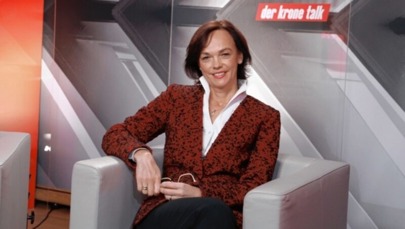 Sonja Hammerschmid, Bereichssprecherin für Bildung (SPÖ) (Bild: Zwefo)