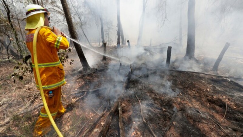 (Bild: Associated Press)