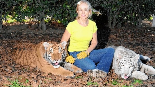 Als Patty Perry stürzte, biss ihr ein ausgewachsener Tiger in Kopf und Schulter. (Bild: WEC HelpWildlife)