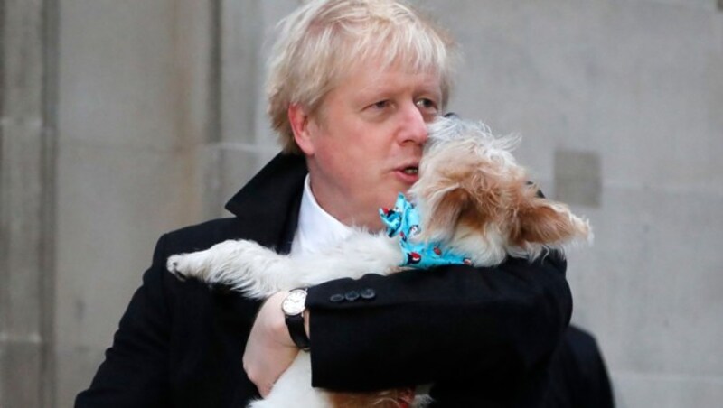 Boris Johnson mit seinem Hund „Dilyn“ (Bild: AP)