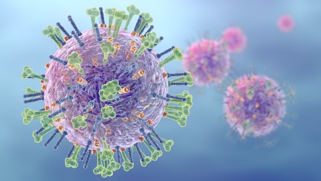 Influenza-Erreger greifen den gesamten Organismus an. (Bild: ©Axel Kock - stock.adobe.com)