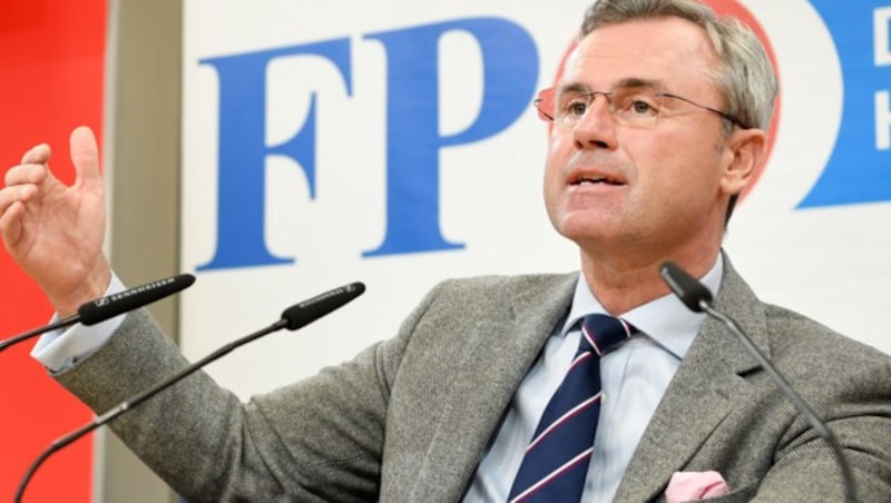 FPÖ-Parteichef Norbert Hofer (Bild: APA/ROLAND SCHLAGER)