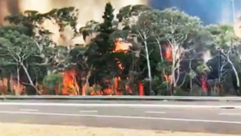 (Bild: ruptly.tv/NSW Rural Fire Service)