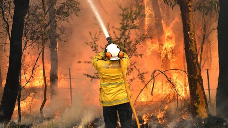 Ein Feuerwehrmann kämpft in einem Vorort von Sydney gegen die Flammen. (Bild: AFP)