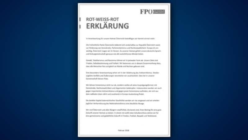 (Bild: fpoe.at, krone.at-Grafik)