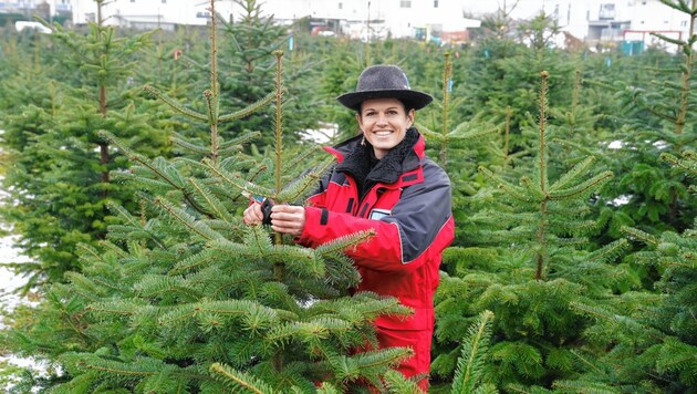 Martina Lienhart aus Unterlamm (44) ist eine von 82 Produzenten, die die Qualitätsmarke „Steirischer Christbaum“ führen darf. (Bild: Sepp Pail)