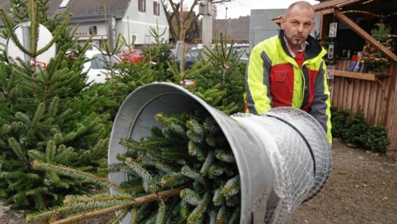 Viele Kunden schwören auf Christbäume „made in styria“. (Bild: Sepp Pail)