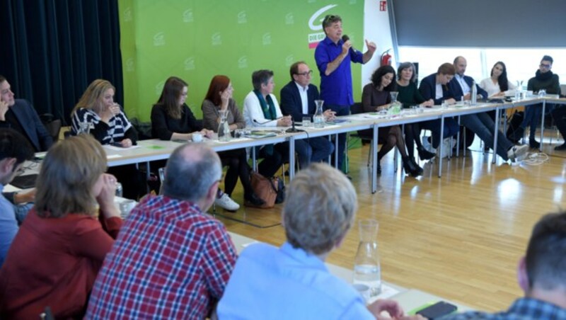 Werner Kogler im Rahmen einer Sitzung des Erweiterten Bundeskongresses der Grünen im Oktober (Bild: APA/ROLAND SCHLAGER)