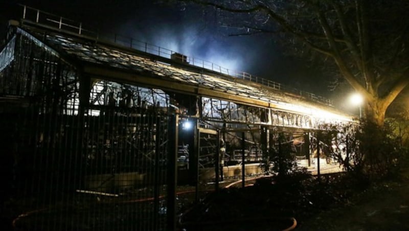 Das Affenhaus des Krefelder Zoos wurde bei dem Brand vollständig zerstört. (Bild: AFP/dpa/David Young)