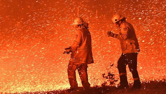 Feuerwehrmänner in Sydney im Kampf gegen das Buschfeuer (Bild: APA/AFP/SAEED KHAN)