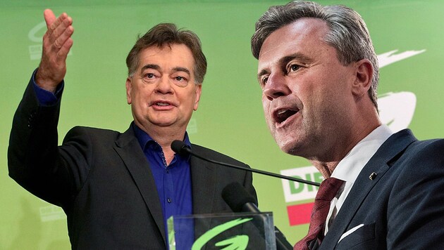 FPÖ-Chef Norbert Hofer ist seit der Einigung von Grünen-Chef Werner Kogler mit ÖVP-Obmann Sebastian Kurz im Angriffsmodus. (Bild: AP, EPA, krone.at-Grafik)