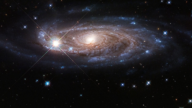 Die Galaxie UGC 2885 ist zweieinhalb Mal so breit wie die Milchstraße und enthält zehn Mal so viele Sterne. (Bild: NASA, ESA und B. Holwerda (University of Louisville))