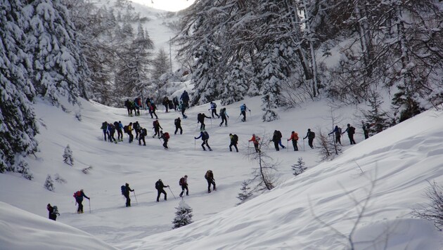 Vom Trend zum Massenphänomen: Skitourengeher hinterlassen immer häufiger ihre Spuren. (Bild: ©Paul Sodamin)
