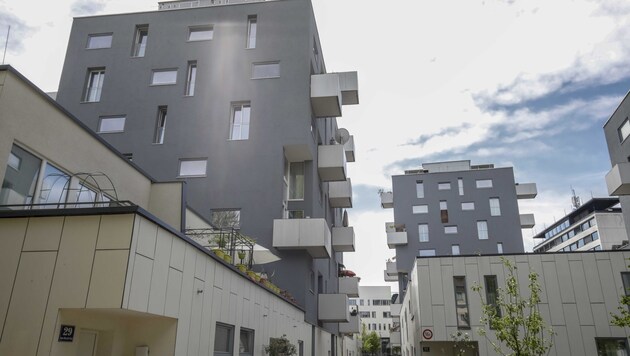Der Bedarf ist hoch: Salzburg setzt auf soziale Wohnungen (Bild: Tschepp Markus)