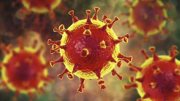 Künstlerische Illustration eines Coronavirus-Stammes (Bild: stock.adobe.com)