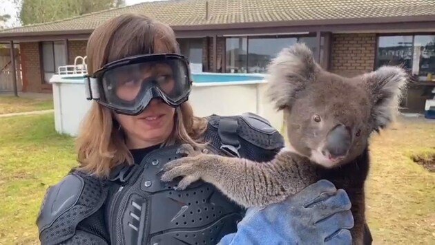 Die schottische Reporterin macht einen sichtlich verängstigten Gesichtsausdruck, während sie den vermeintlich gefährlichen Koala im Arm hält. (Bild: Quelle: Video-Screenshot Sean Mulcahy)