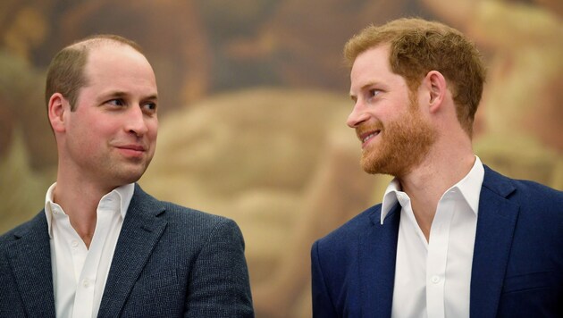 Prinz William und Prinz Harry (Bild: AFP)