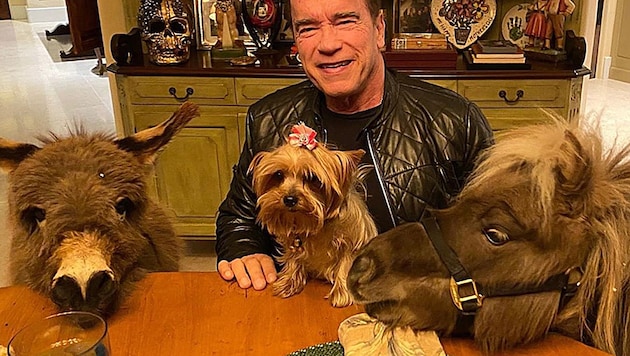 Arnold Schwarzenegger als Dr. Dolittle mit seiner tierischen Tischgesellschaft (Bild: instagram.com/schwarzenegger)