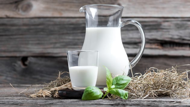 Experts recommend whole milk instead of mixed products for schoolchildren. (Bild: Hetizia/stock.adobe.com)