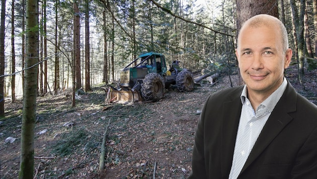 Wolfgang Hafner ist seit 2009 Projektleiter der Salzburger Trasse. Von Protesten der Anrainer lässt er sich nicht bremsen, die Leitung sei ein zu wichtiges Infrastrukturprojekt. (Bild: Markus Tschepp)